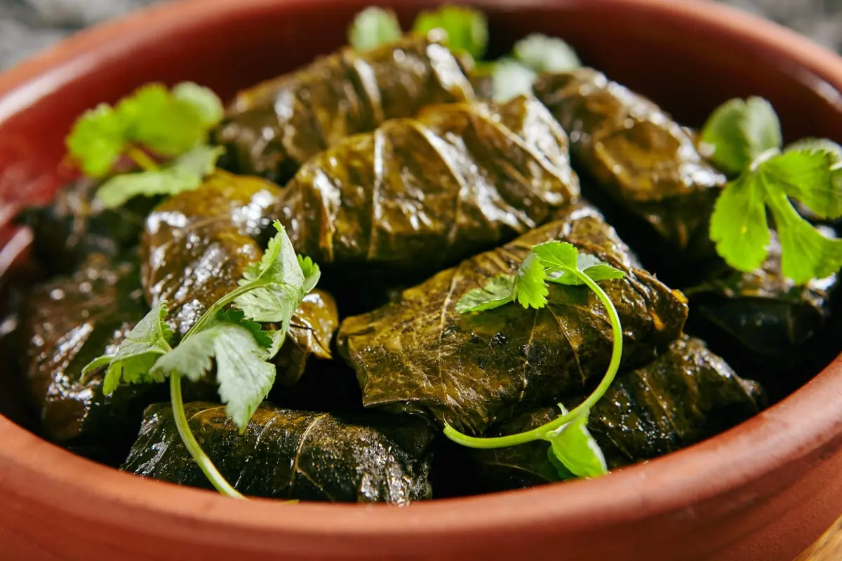 Stuffed vine leaves topped with fresh coriander in a terracotta bowl
